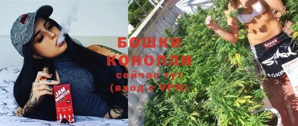ПСИЛОЦИБИНОВЫЕ ГРИБЫ Алексеевка