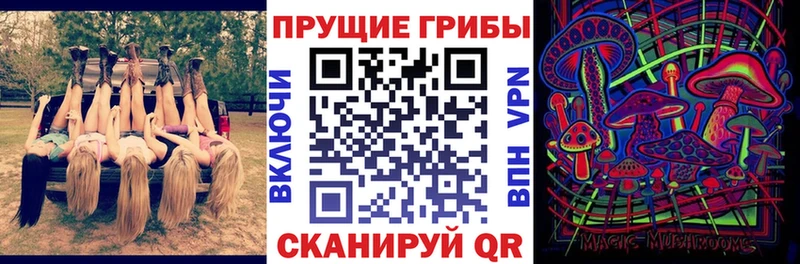 МЕГА маркетплейс  Новокубанск  Галлюциногенные грибы Cubensis 