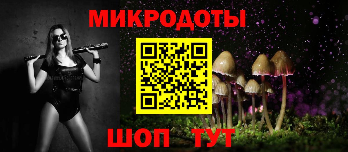 Новокубанск  закладки  Вход с VPN  Псилоцибиновые грибы Cubensis  Галлюциногенные грибы прущие грибы 